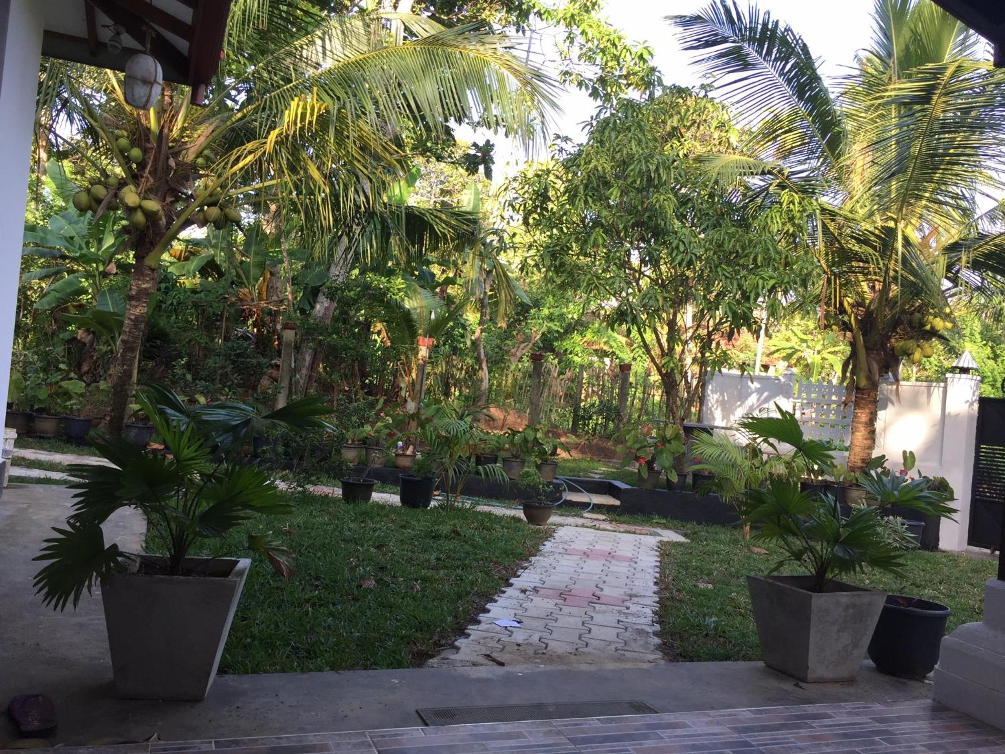 Hotel Mirewon Guest Weligama Exteriér fotografie