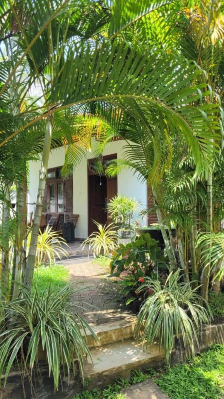 Hotel Mirewon Guest Weligama Exteriér fotografie