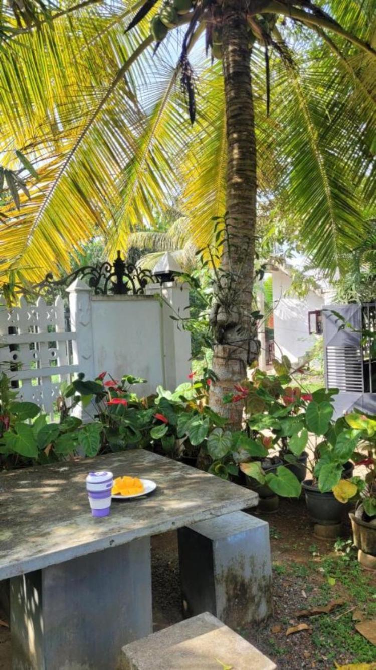 Hotel Mirewon Guest Weligama Exteriér fotografie